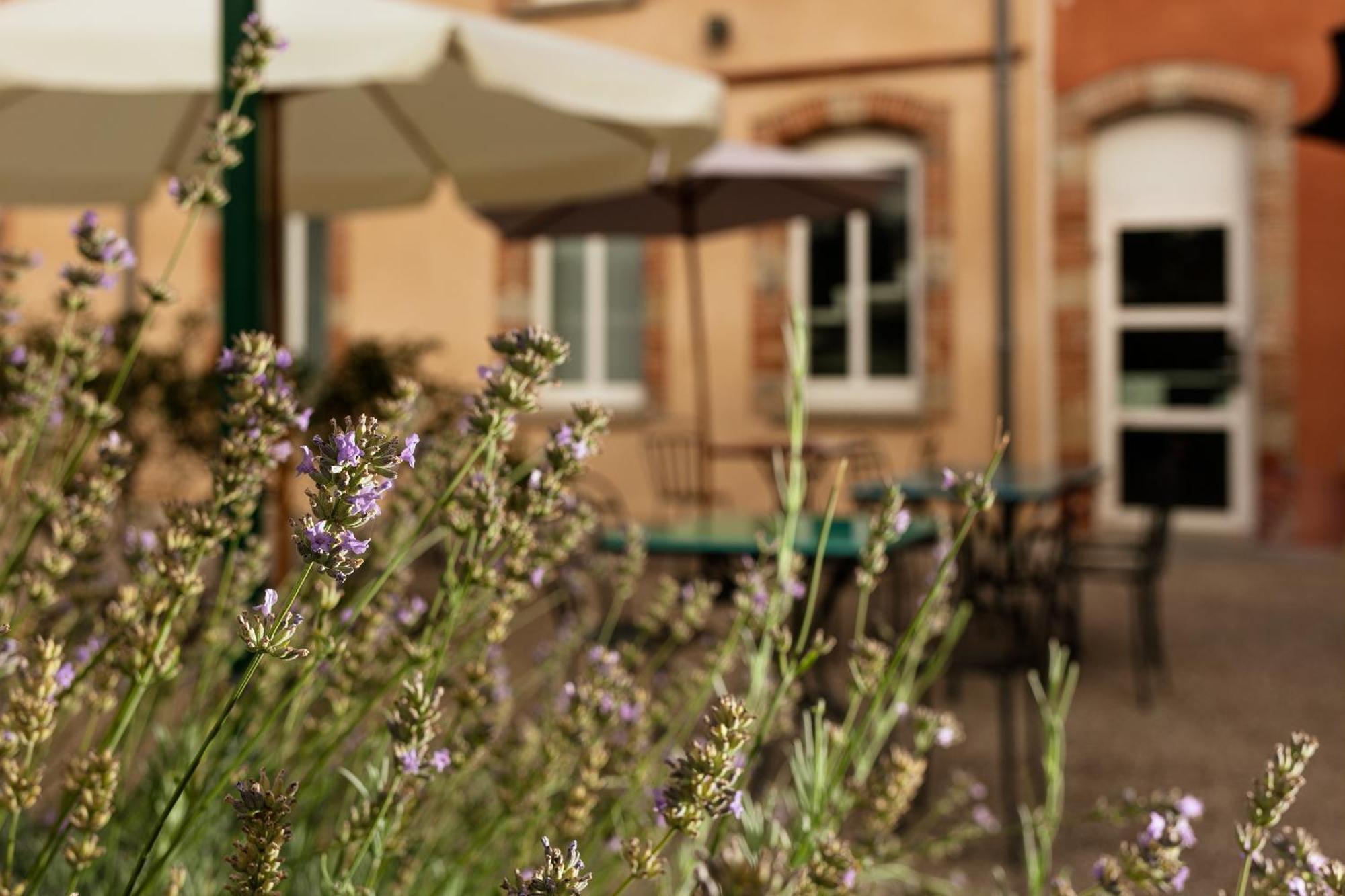 Hotel Ibis Styles Toulouse Lavaur Lavaur  Zewnętrze zdjęcie
